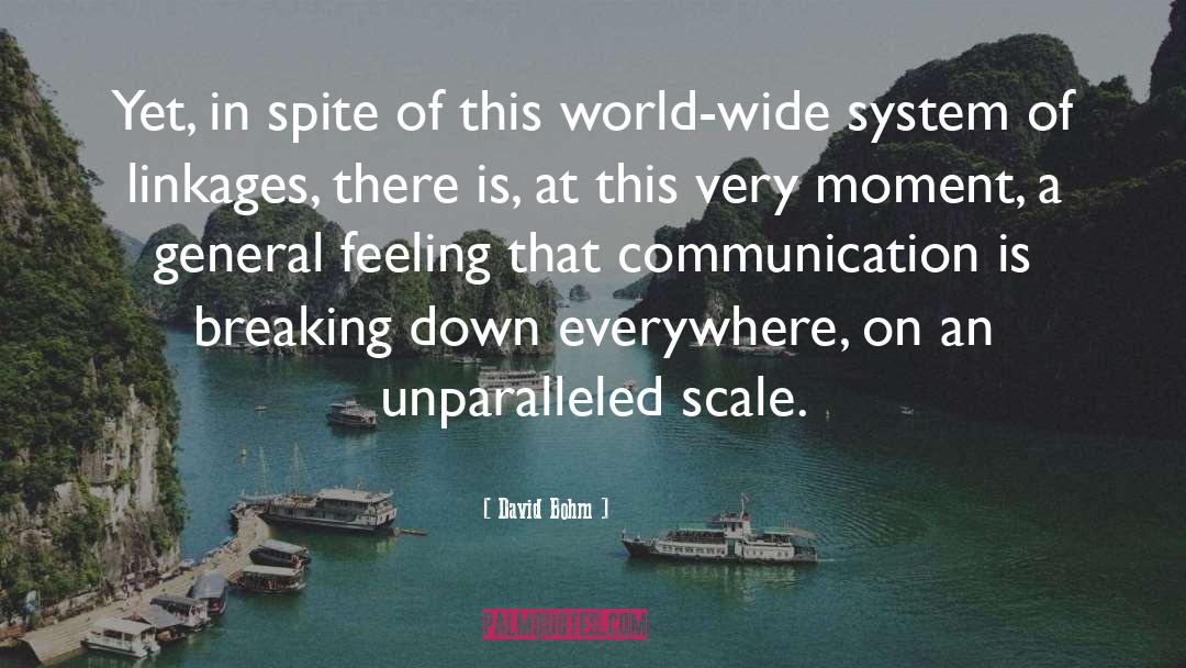 Linkages quotes by David Bohm