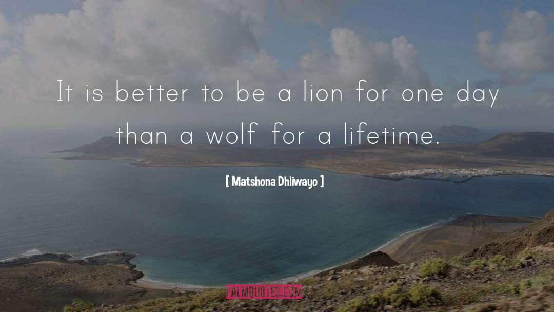 Lion Wisdom quotes by Matshona Dhliwayo