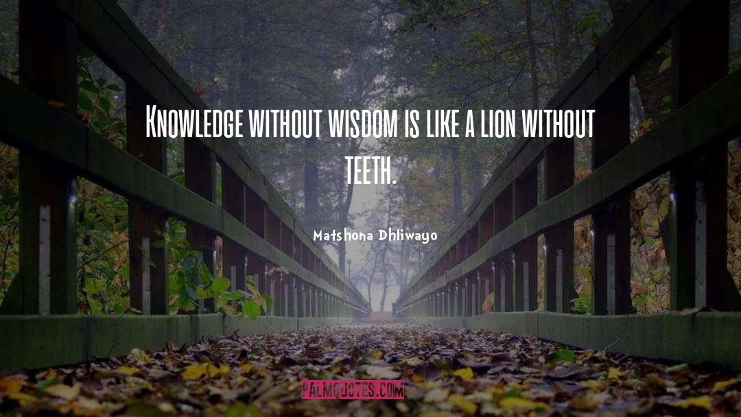 Lion Wisdom quotes by Matshona Dhliwayo