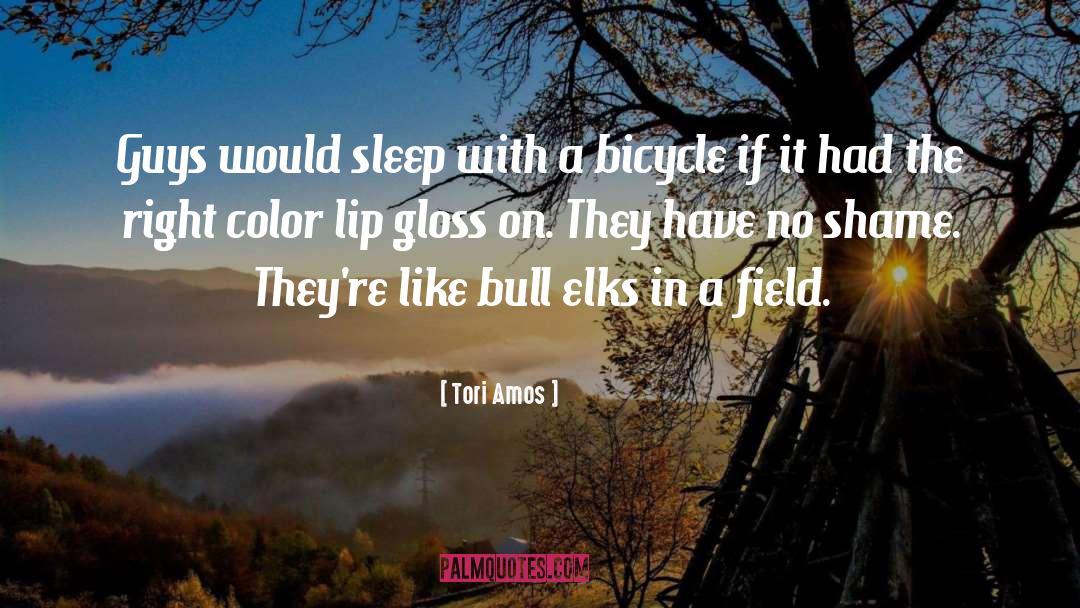 Lip Gloss quotes by Tori Amos