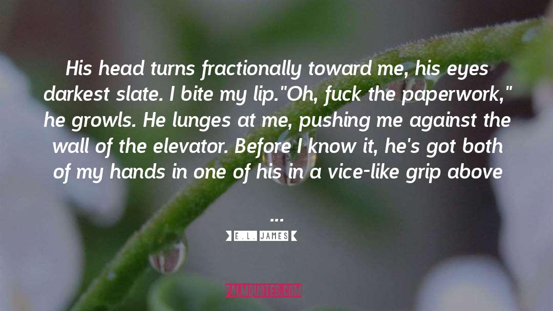 Lip Gloss quotes by E.L. James