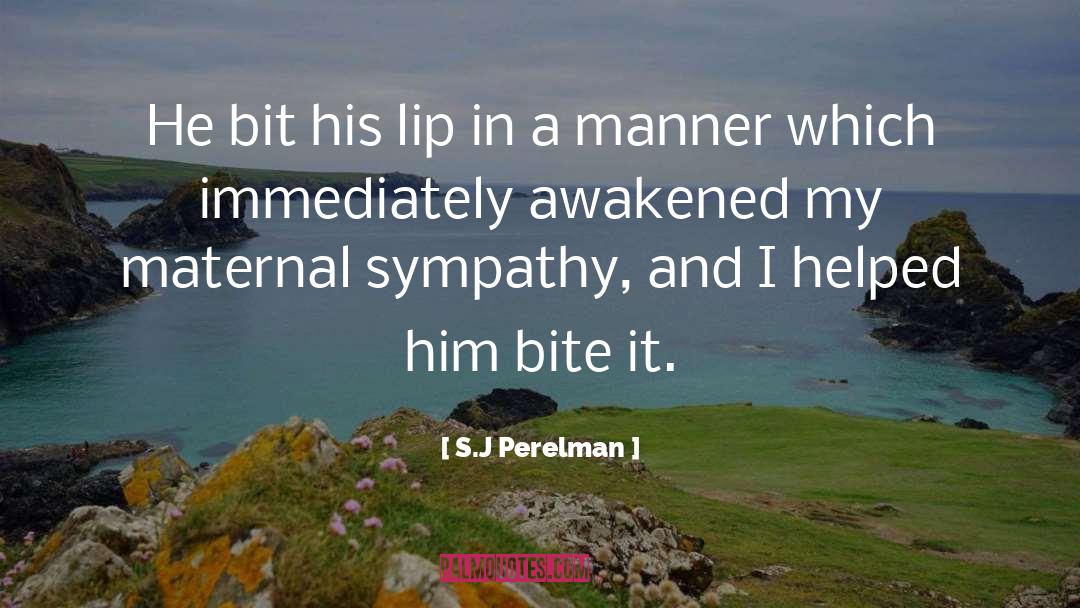 Lip quotes by S.J Perelman