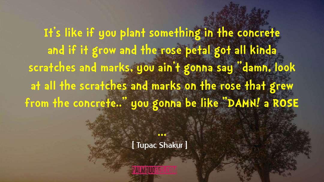 Lipinski Concrete quotes by Tupac Shakur