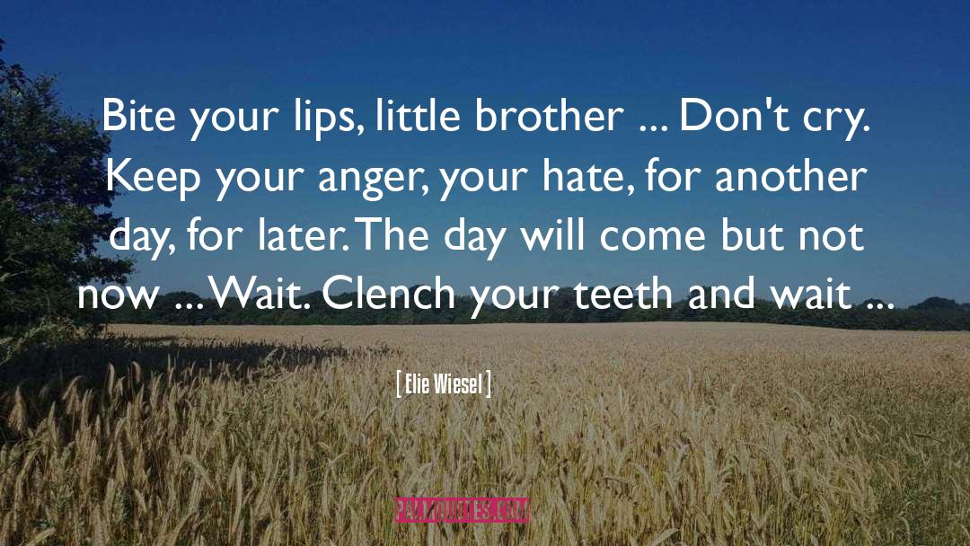 Lips And Lemons quotes by Elie Wiesel