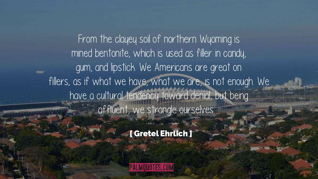 Lipstick quotes by Gretel Ehrlich