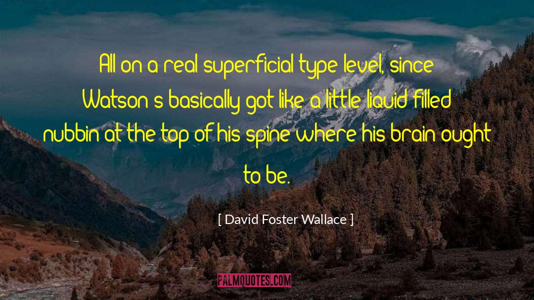 Liquid Nitrogen quotes by David Foster Wallace
