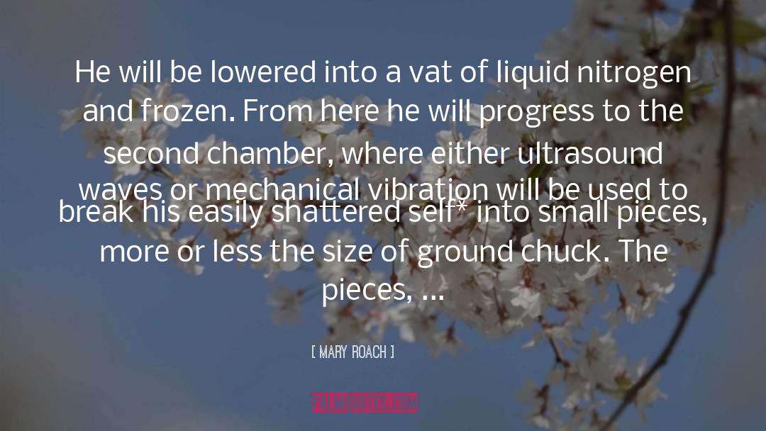 Liquid Nitrogen quotes by Mary Roach