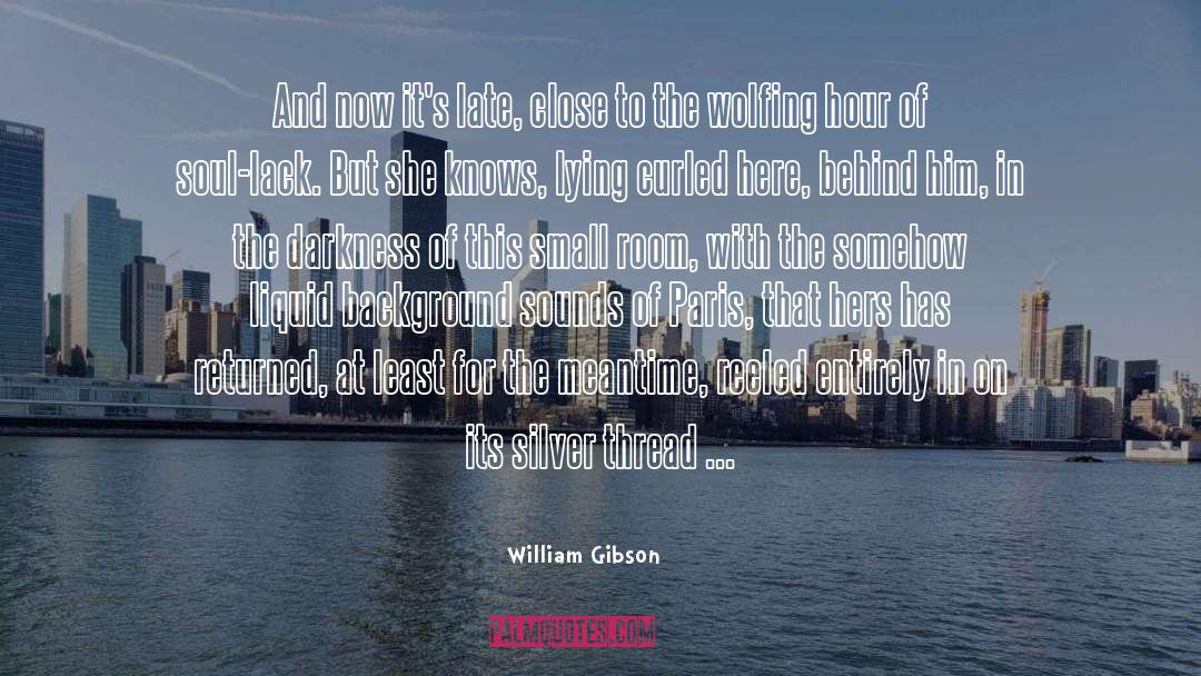 Liquid Silver Books quotes by William Gibson
