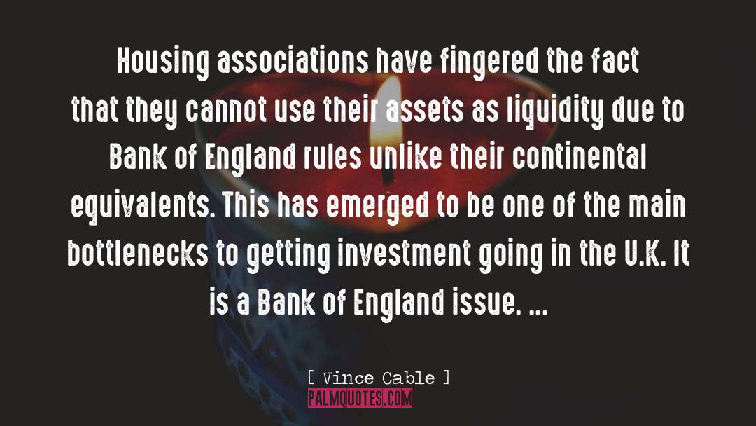 Liquidity quotes by Vince Cable