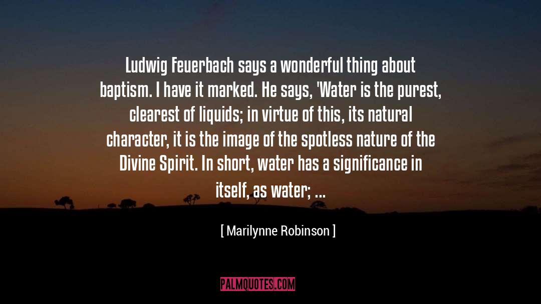 Liquids quotes by Marilynne Robinson