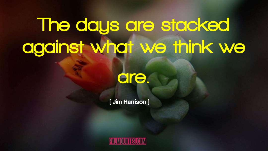 Lisi Harrison quotes by Jim Harrison