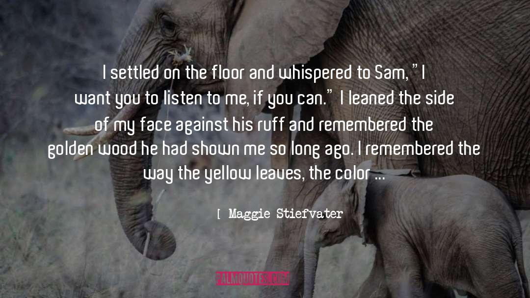 Listen To Me quotes by Maggie Stiefvater