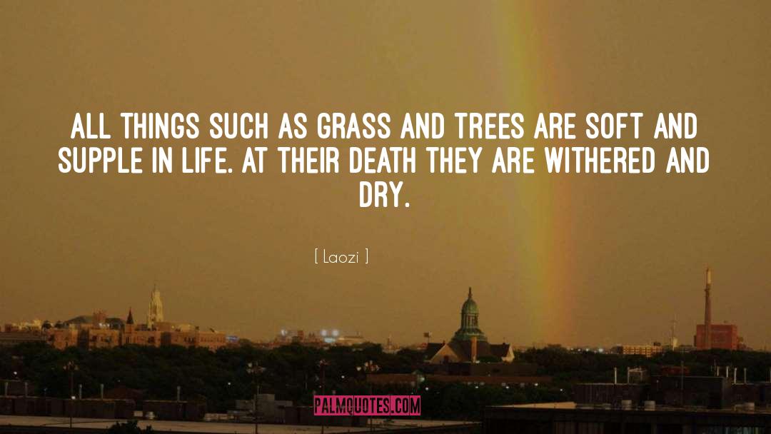 Listen Trees quotes by Laozi