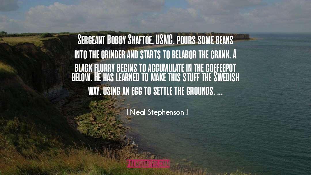 Liszewski Usmc quotes by Neal Stephenson