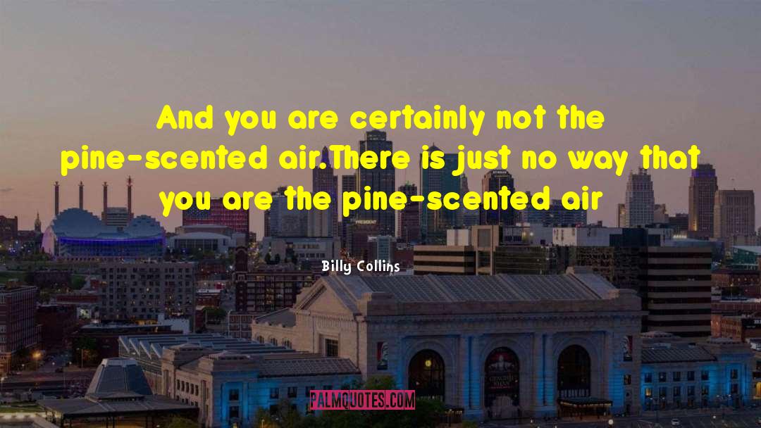 Litany quotes by Billy Collins