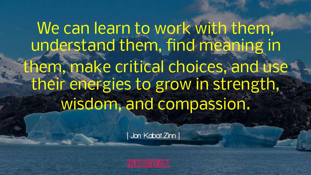 Literal Meaning quotes by Jon Kabat-Zinn