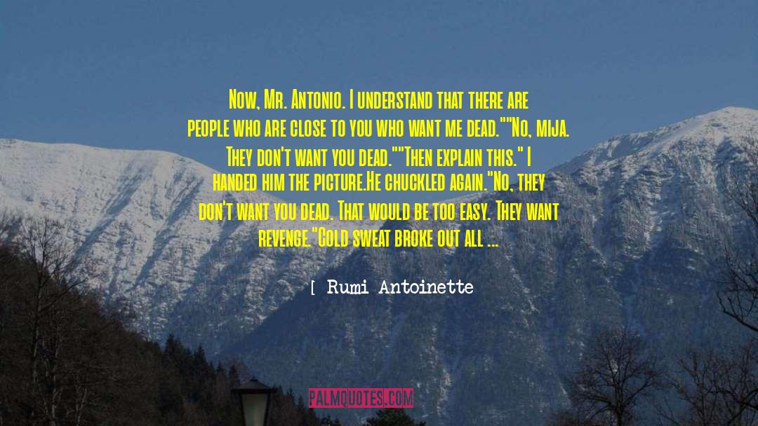 Literary Agent quotes by Rumi Antoinette