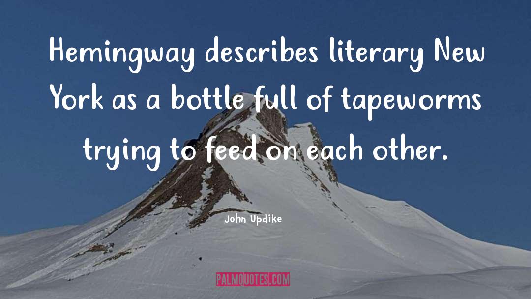 Literary Destinations quotes by John Updike