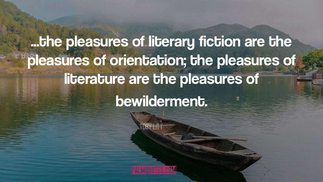 Literary Fiction quotes by Toby Litt