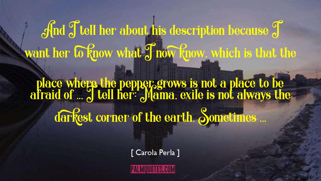 Literary Girls quotes by Carola Perla
