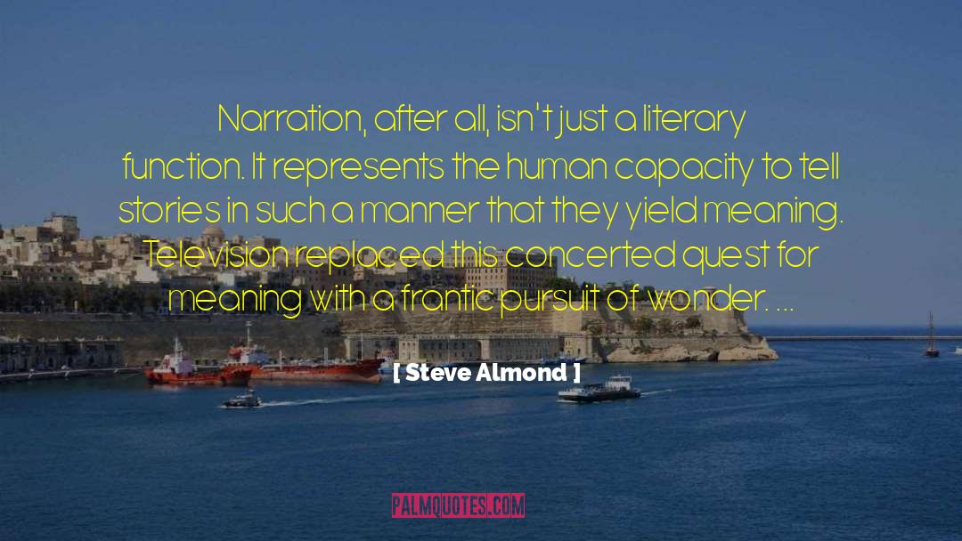 Literary Merit quotes by Steve Almond