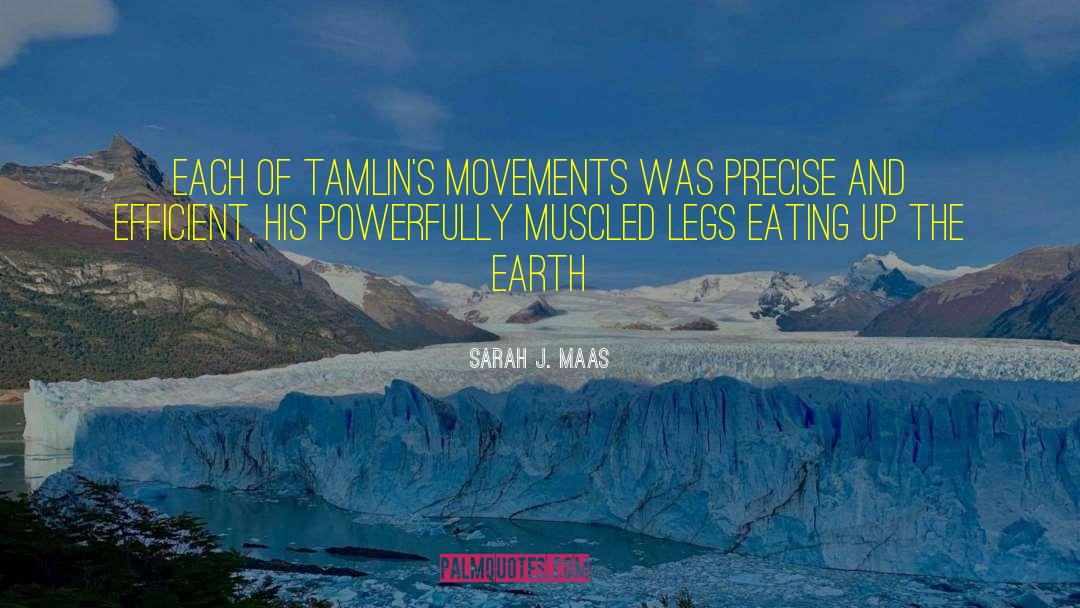 Literary Movements quotes by Sarah J. Maas