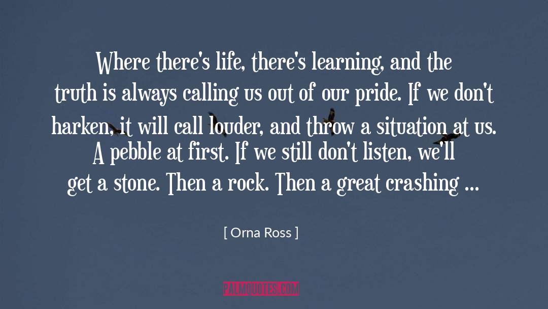 Literary Pretentiousness quotes by Orna Ross