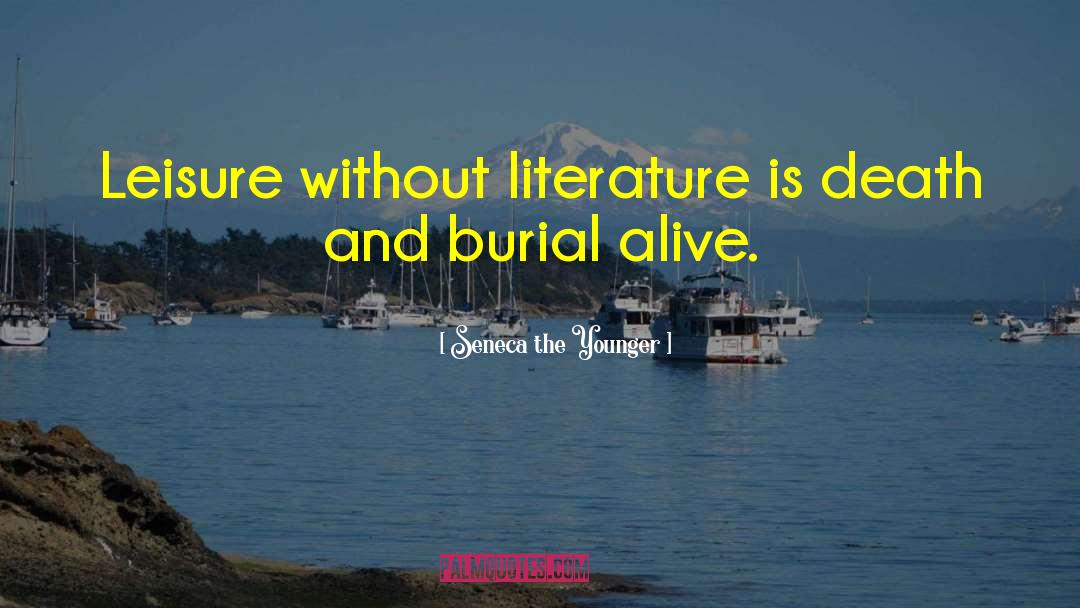 Literature And Illness quotes by Seneca The Younger