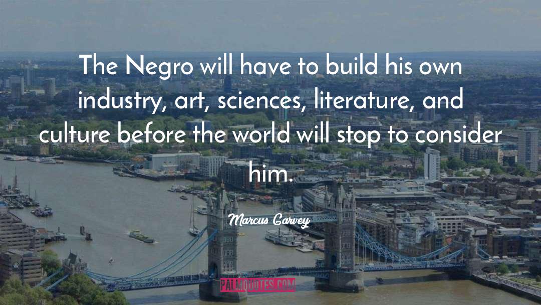 Literature quotes by Marcus Garvey