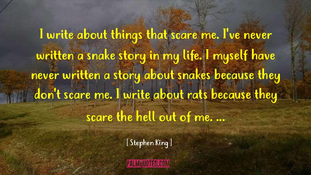 Literature Writing quotes by Stephen King