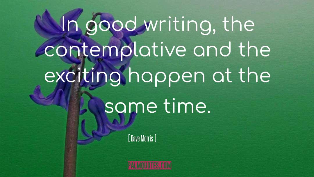 Literature Writing quotes by Dave Morris