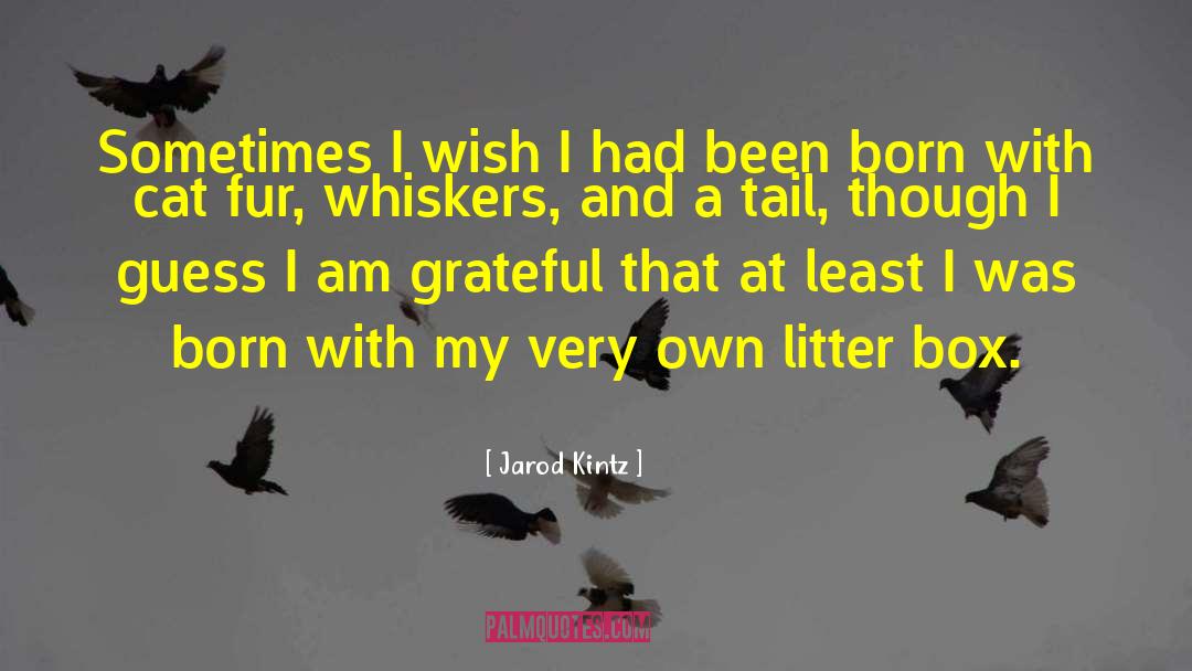 Litter Box quotes by Jarod Kintz