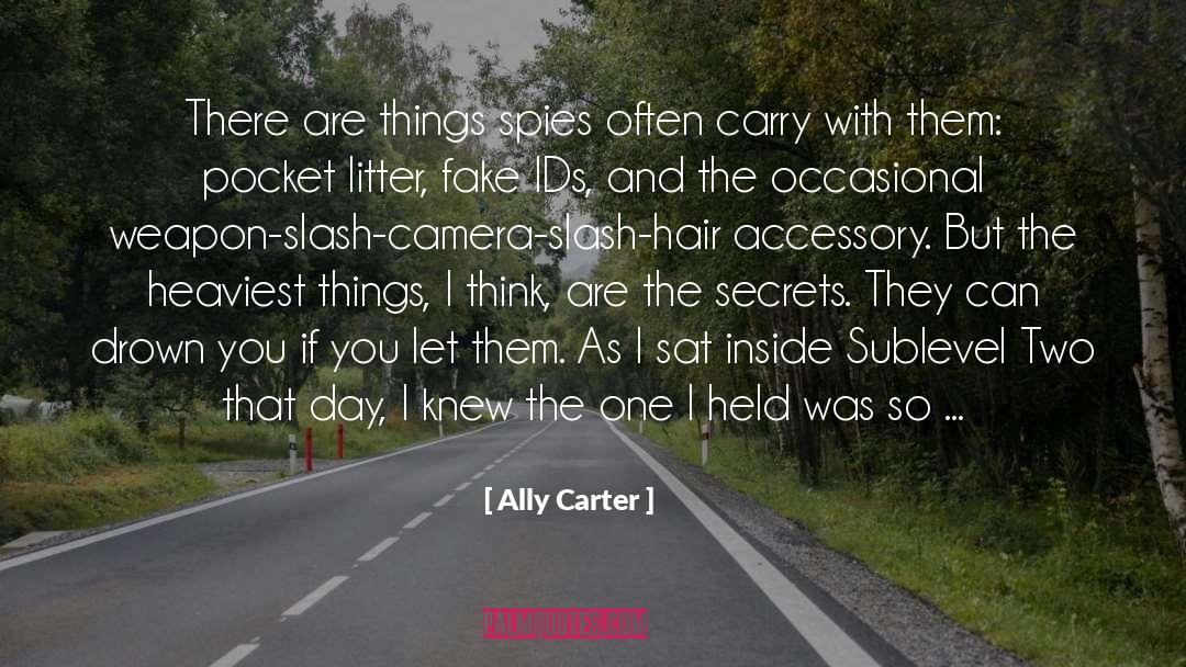 Litter quotes by Ally Carter