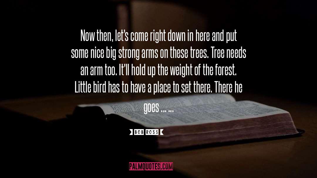 Little Bird quotes by Bob Ross