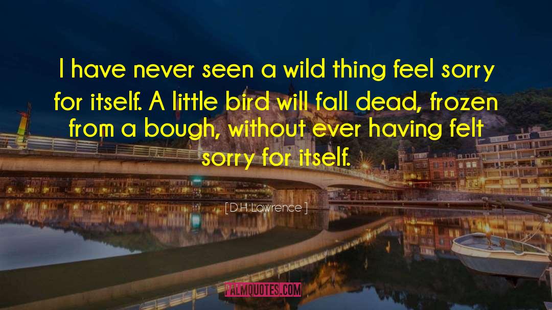 Little Bird quotes by D.H. Lawrence