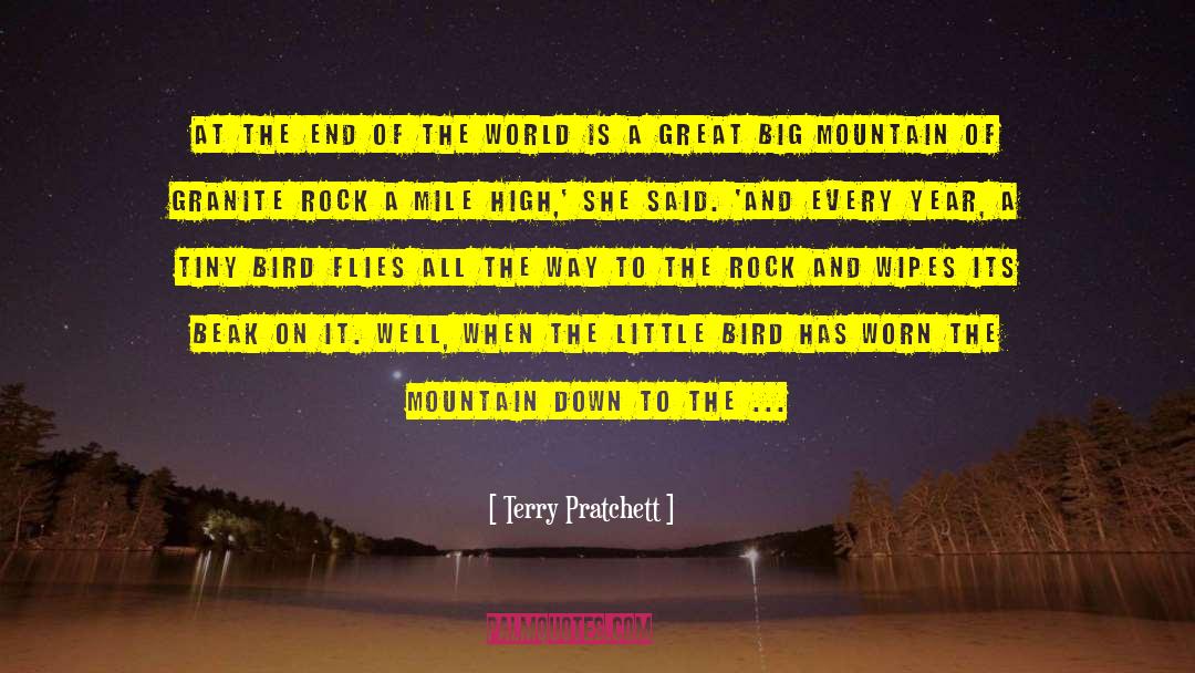 Little Bird quotes by Terry Pratchett