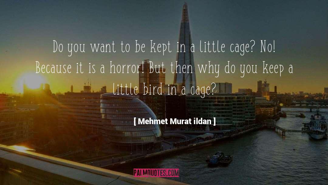 Little Bird quotes by Mehmet Murat Ildan