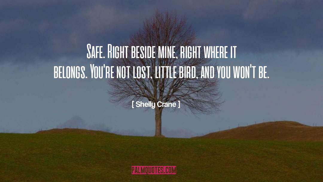 Little Bird quotes by Shelly Crane