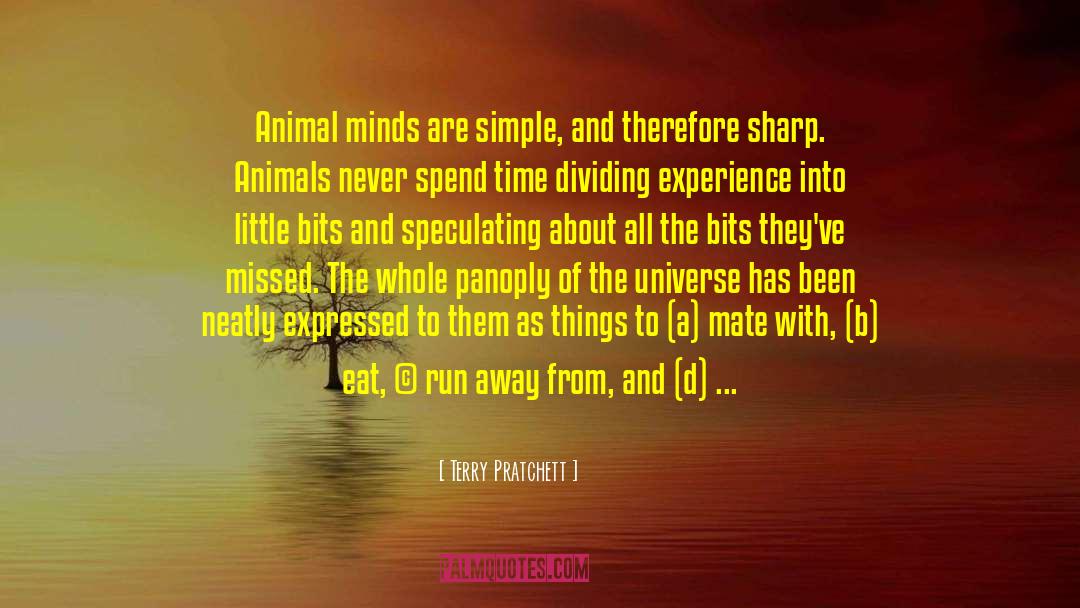 Little Bits quotes by Terry Pratchett