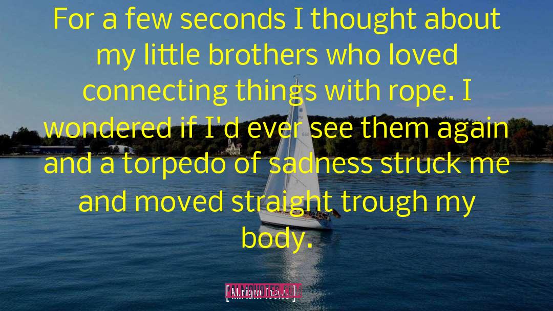 Little Brothers quotes by Miriam Toews