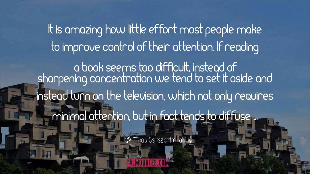 Little Effort quotes by Mihaly Csikszentmihalyi