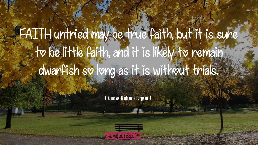 Little Faith quotes by Charles Haddon Spurgeon