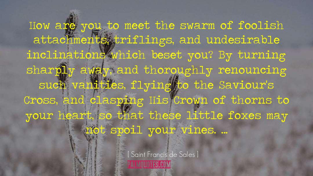 Little Foxes quotes by Saint Francis De Sales