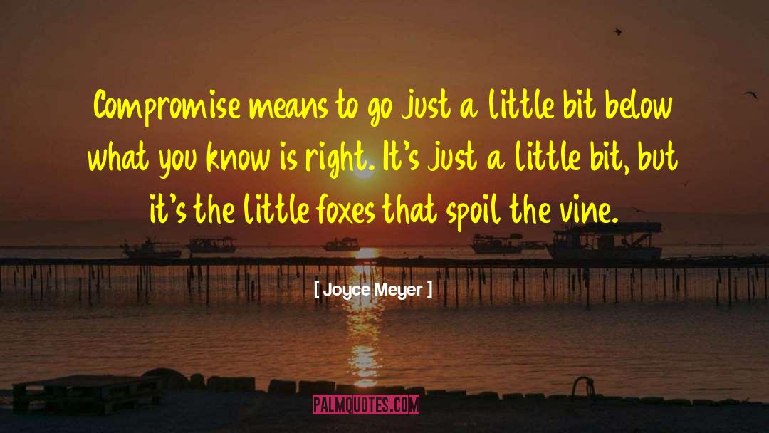 Little Foxes quotes by Joyce Meyer