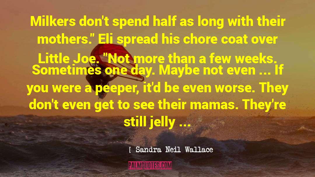 Little Joe quotes by Sandra Neil Wallace