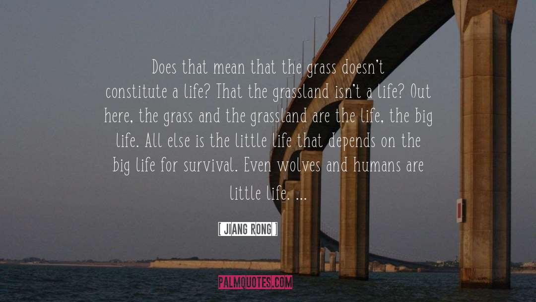 Little Life quotes by Jiang Rong