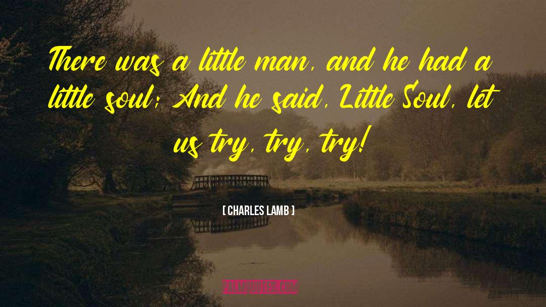 Little Man quotes by Charles Lamb