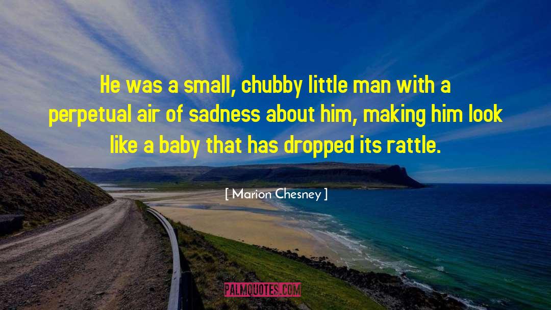 Little Man quotes by Marion Chesney