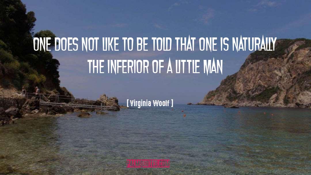 Little Man quotes by Virginia Woolf
