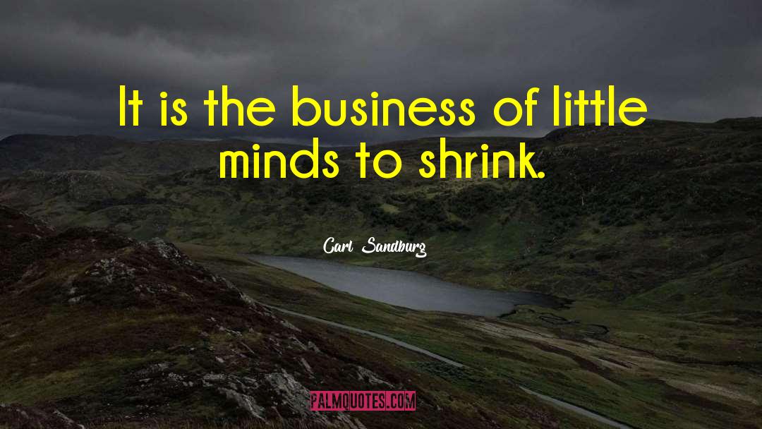 Little Minds quotes by Carl Sandburg